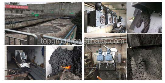 Screw Filter Press / Screw Sludge Dehydrator / Sludge Dewatering Machine for Dewatering