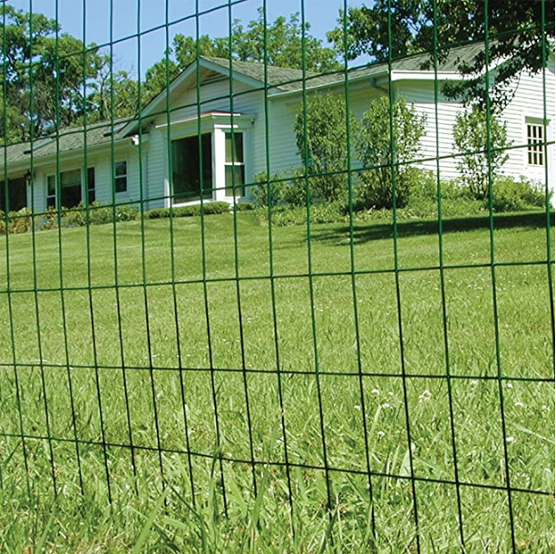 Hot Selling Good Quality China Factory Direct Sale 1/4 Inch Pvc Coated Welded Wire Mesh