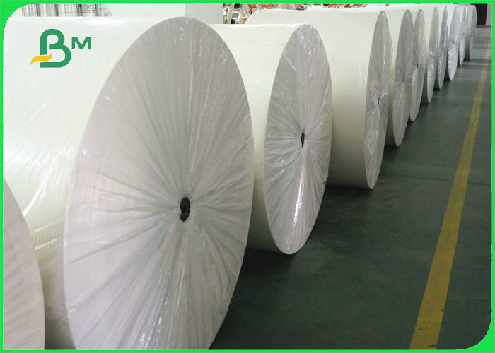 300gsm + 18g PE Lined Coated Paper For Disposable bowl Width 500mm 550mm 600mm