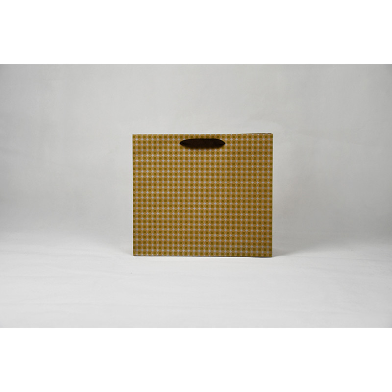 Stylish Sustainable Custom Paper Shopping Bags Lightweight Eco Friendly