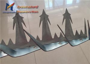  Metal Spike Galvanized Security Premeter Fence Top Metal Wire Mesh Fence Manufactures