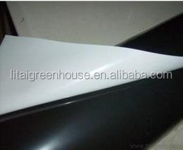 Film Covered Mushroom Cultured Greenhouse for Mushroom Cultivation and Easy Assembly