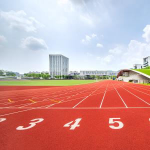 China Stadium Sandwich System Running Track EPDM Rubber Flooring Surface on sale