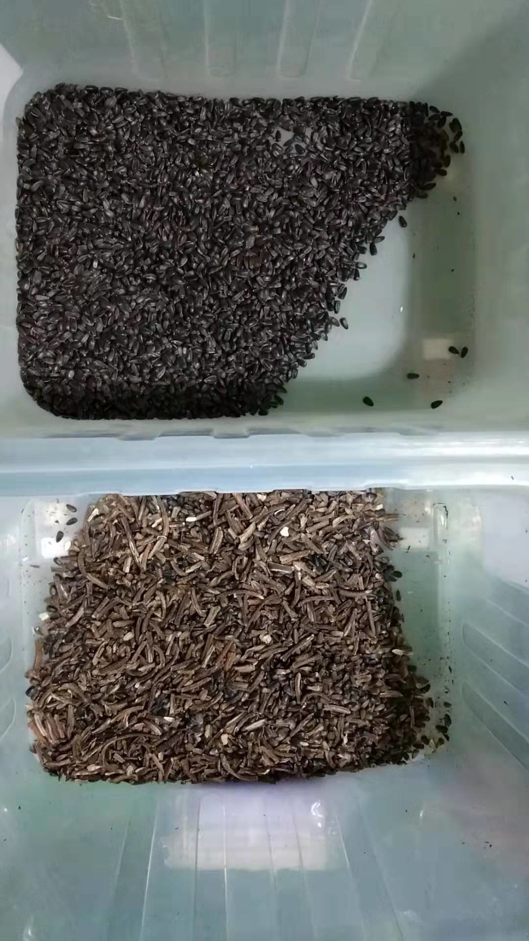 Data Processing Software Seeds Color Sorter With Intelligent CCD Color Camera
