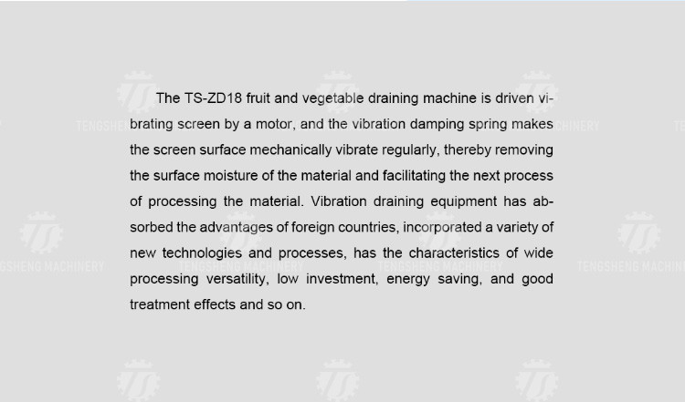 Stainless Steel Vegetable Processing Machine Vibration Draining Machine