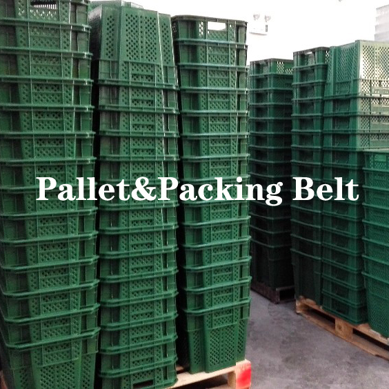 Freely Plastic Moving Box Containers Crate Soda Stackable Plastic Crate 23.6x15.7x11.8 Inch