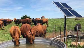 Stainless Steel Solar Pumpfor Agriculture Deep Well Pumping System