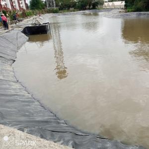  High Tensile Strength HDPE Geomembrane for Fish Pond Liner and Swimming Pool Liner Manufactures