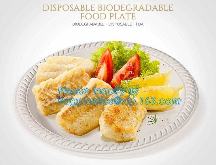 Meal Prep Containers Free Sample Bento Lunch Box Biodegradable Food Container Plastic Wheat Straw Lunch Box bagplastics