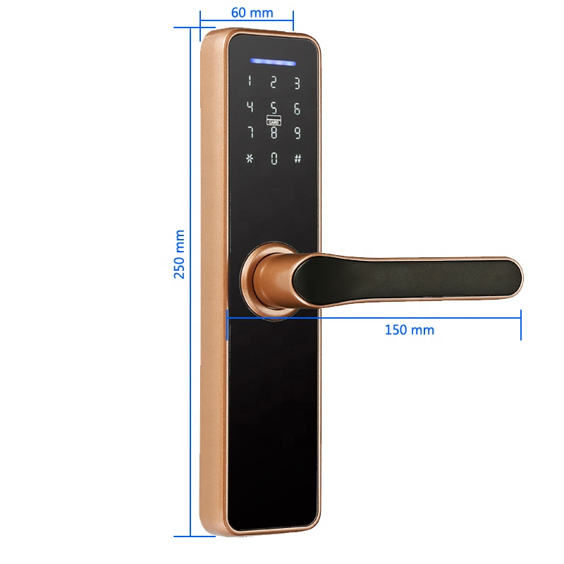 4 AAA Batteries Hotel Smart Lock