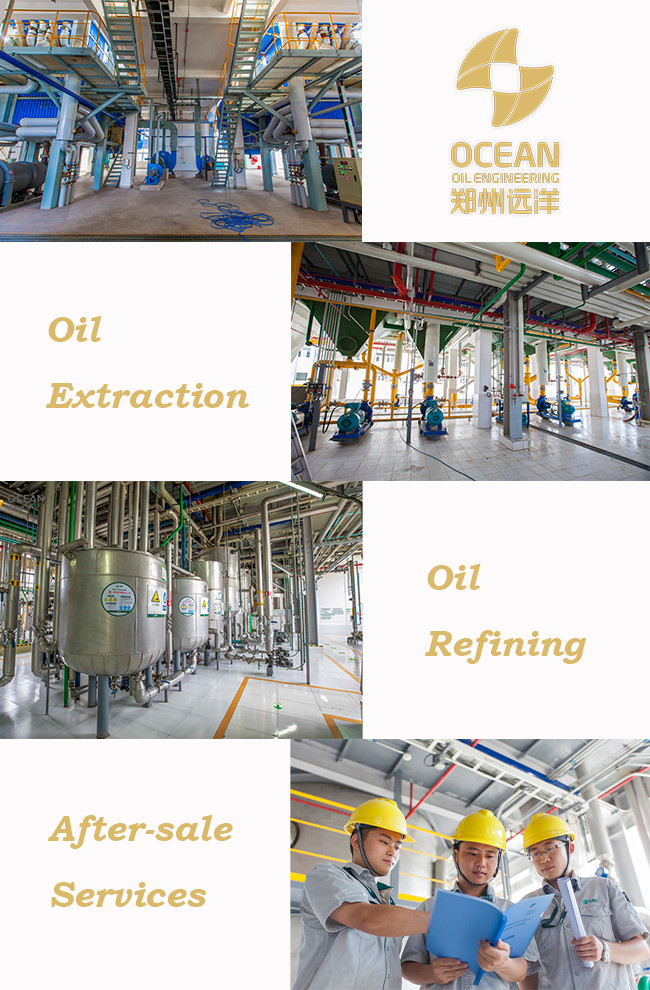 Peanut Groundnut Oilseed Edible Oil Processing Equipment High Oil Yield