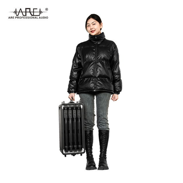 ARE AUDIO dual 12 inch passive outdoor line array speaker system for large events