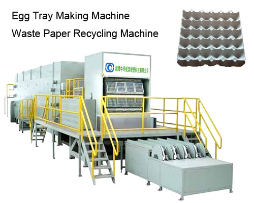 Pulp Plastic Egg Tray Making Machine