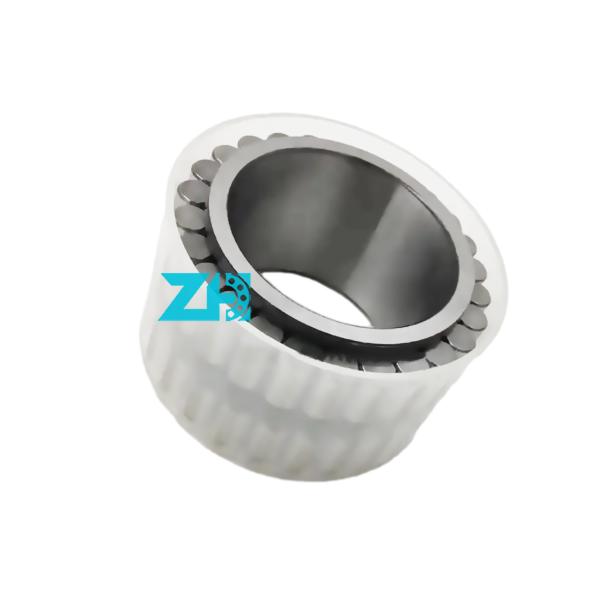 Cylindrical Roller Bearing F-209774.06 F-209774 double row roller bearing50X82x3