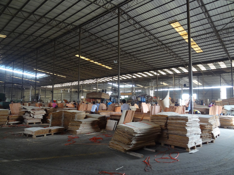 High Gloss 20mm White Faced Plywood For Furniture
