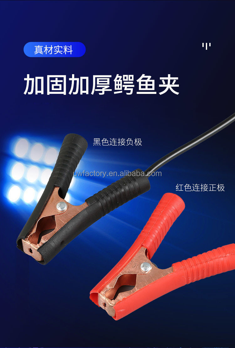 Prevalent Battery Intelligent Automatic Lead-Acid Repair Battery Charger with 90% Charging Efficiency and 12V/24V Output