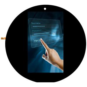 Capacitive Touchscreen 5 Inch TFT LCD Display Module China Manufacturer Supply