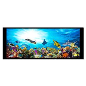  6.8 Inch Hight-Brightness TFT LCD Display LVDS Interface Manufactures