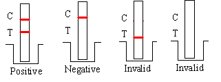 ISO13485 Group A Rapid Streptococcal Antigen Test 10-15 Minutes Read Time
