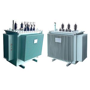 10kv Oil Immersed Transformer Two Winding High Efficiency