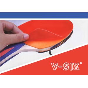 Standard Table Tennis Set Reversed Rubber With Color Line Handle PVC Polybag