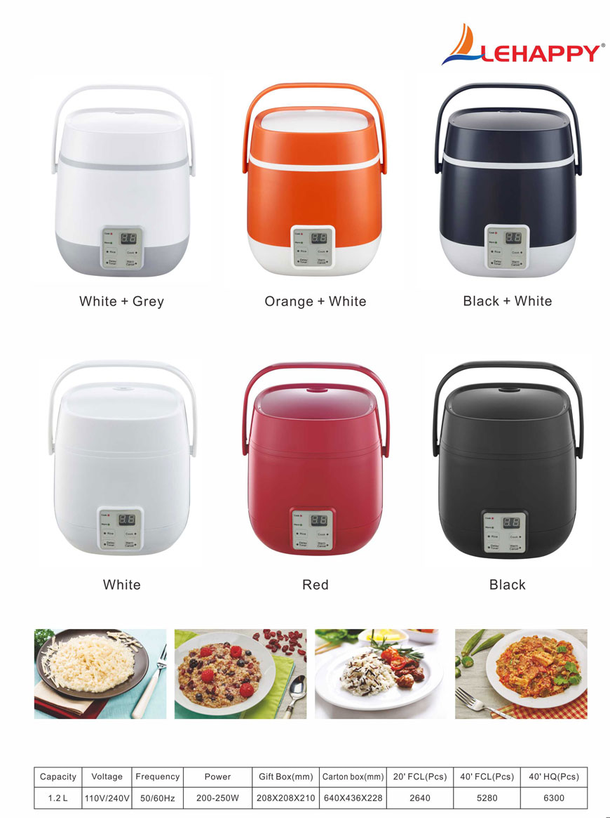D mini cooker.jpg