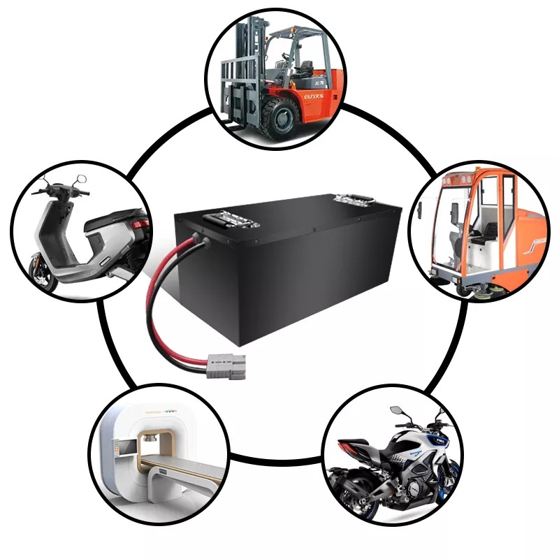 Outdoor 100ah 48V Lithium Battery Golf Cart Patrol Car Lithium Iron Phosphate Battery