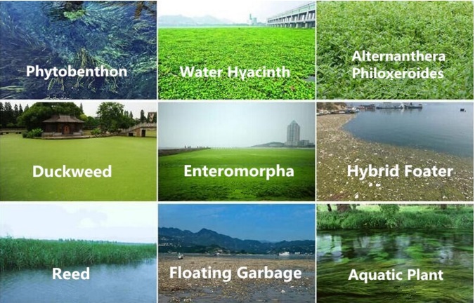 aquatic weed harvester harvesting water plant type