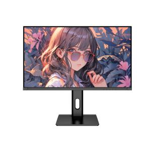  1080P 25 Inch Office Computer Monitor 360Hz HDR 1ms IPS FreeSync ELMB Sync Manufactures