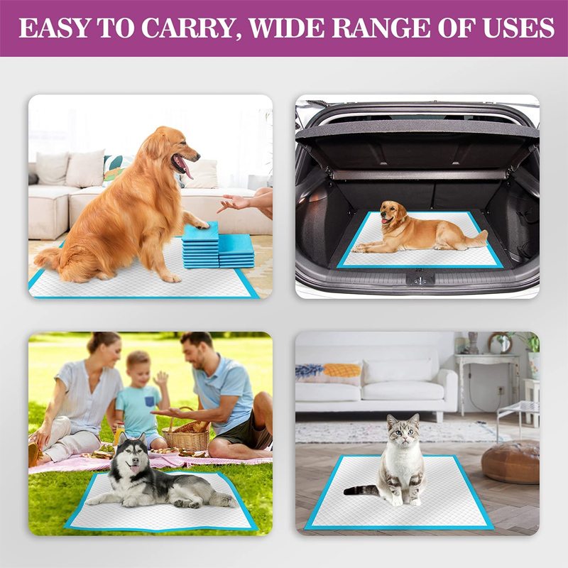 600X350 600X450 600X600 900X600 Urinal Pads for Puppy Dog Pee Training Free Sample