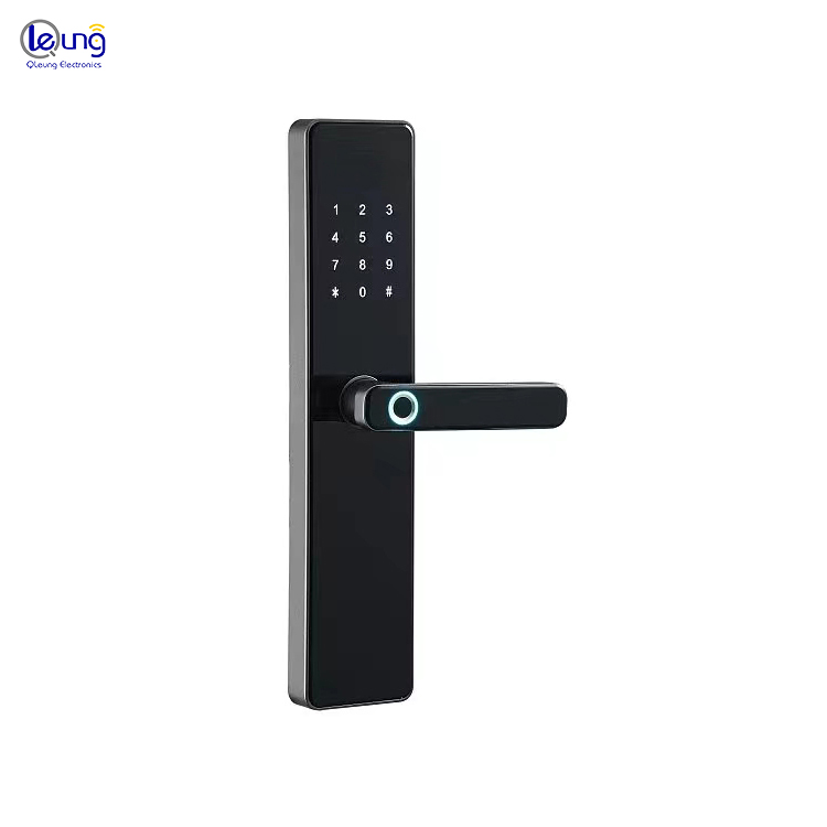 Wifi Biometric Fingerprint Passcode Key IC Card Digital Door Lock for Home Security