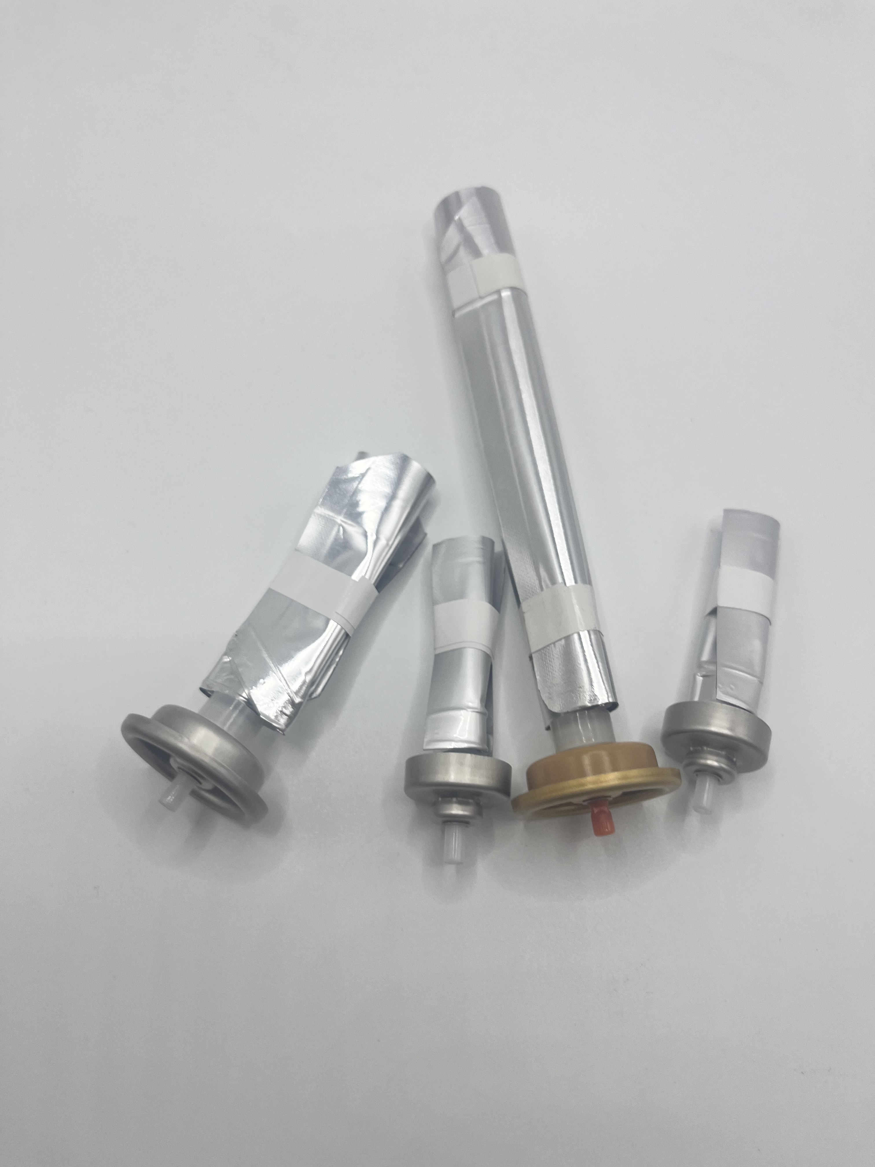 Innovative Bag on Valve for Food Packaging with Freshness-Preserving Technology