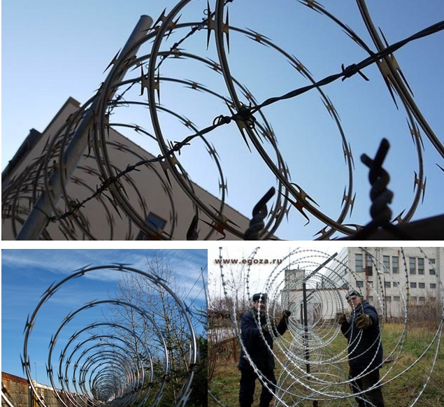 CBT-22 blade barbed wire for sale