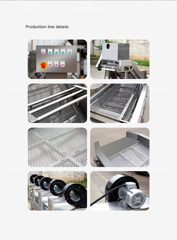 1000KG/H Fruit And Vegetable Processing Line Bubble Washing And Vibrating Drying
