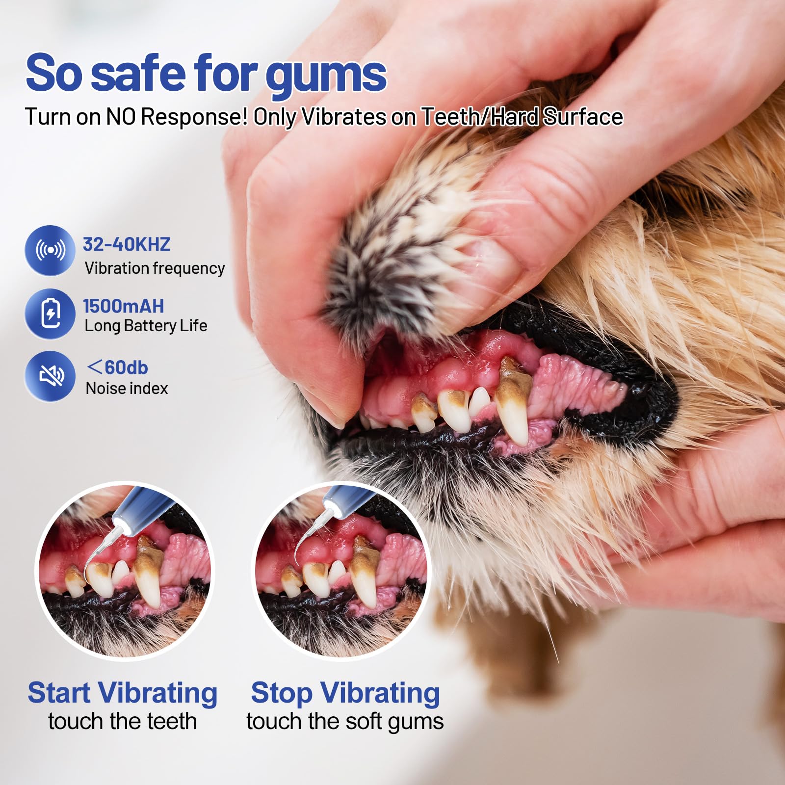 240V Dog Teeth Cleaning Ultrasonic Machine USB Ultrasonic Cleaner For Dogs Teeth