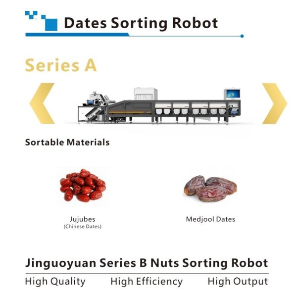 Date Sorting Machine Powered By Deep Learning Technology High Accuracy 8 Lanes 8