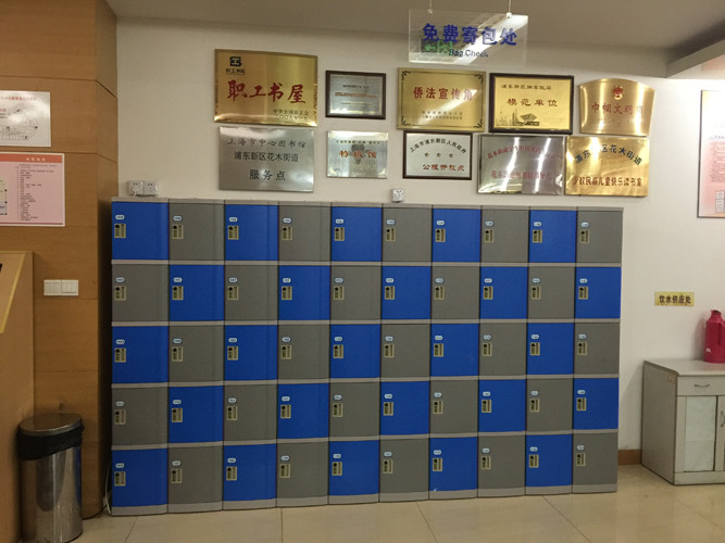 Four Layer Plastic Plastic Gym Lockers Gray Door No On - Site Assembly