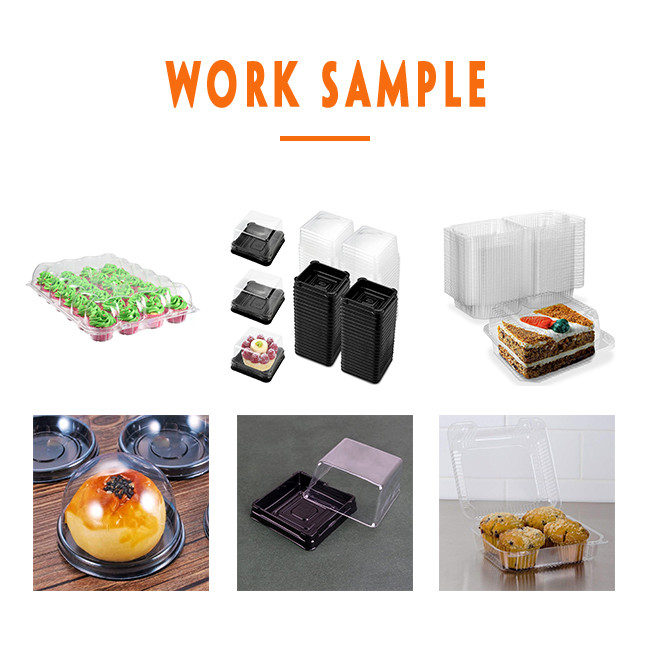 Automatic disposable box making machine biodegradable thermoforming machine
