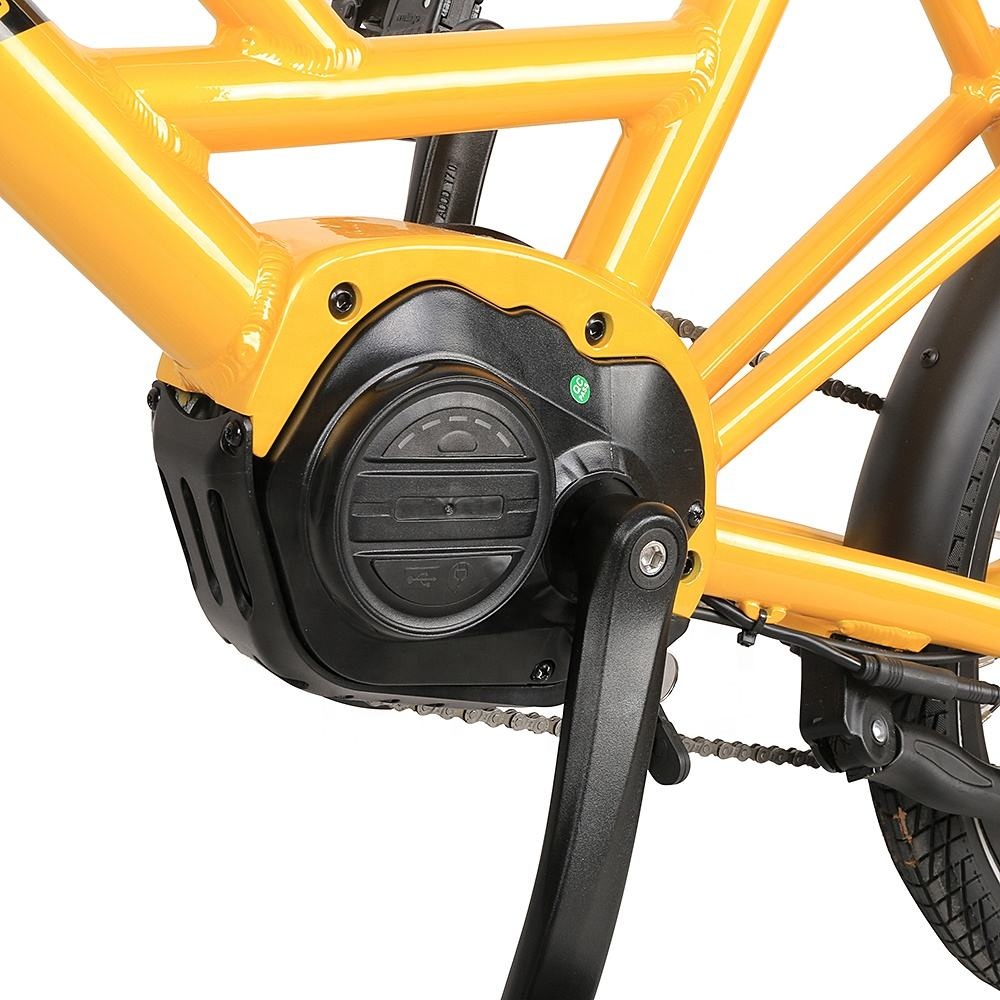 20 Inch Retro Dual 250W Electric Cargo Bike 7 Speed 36V 7.8Ah Lithium Battery