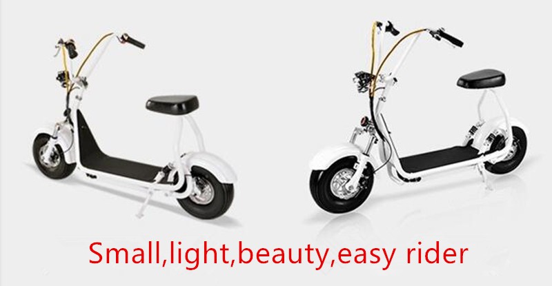 Citycoco Easy Rider 48V 500W Electric Scooter with Small and Exquisite Design On Buyers