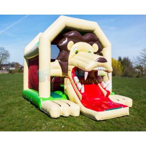 Customized Inflatable Bouncer Slide Children Bouncy Castle