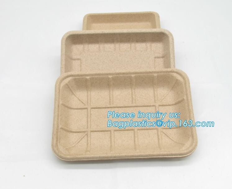 Meal Prep Containers Free Sample Bento Lunch Box Biodegradable Food Container Plastic Wheat Straw Lunch Box bagplastics