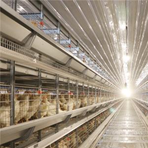  Antirust Egg Layer Chicken Cage with Feeding system drinking system Manufactures