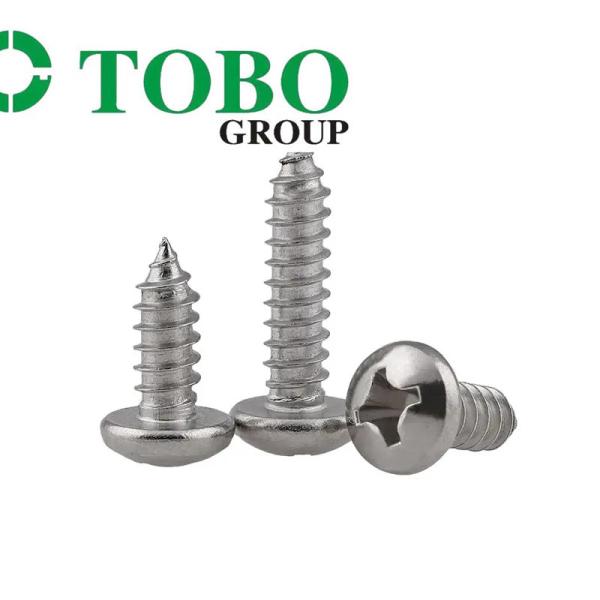 DIN7983 SS304 Oval Head Self Tapping Screws M3.5 M4.2 Stainless Steel 304 Head