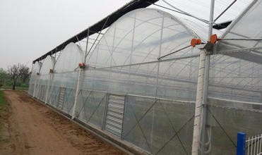 White Double Layer Greenhouse for Mushroom Farming Profitability
