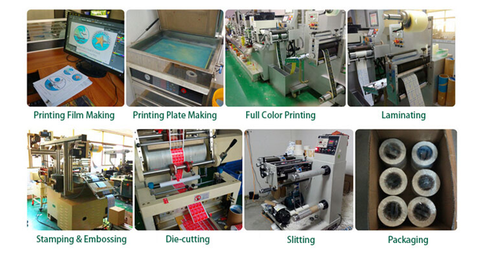 Anti Counterfeit 3D Tamper Proof Seal Stickers Transparent Hologram