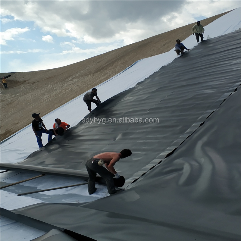 0.75mm HDPE Black Geomembrane Pond Liner Standard GB/ASTM GRI-GM13 Geomembranes