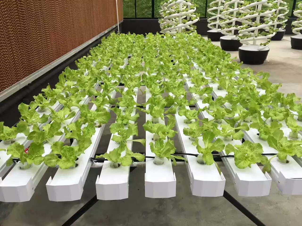 NFT DFT Garden Vertical Hydroponic Grow Tower System Agricultural