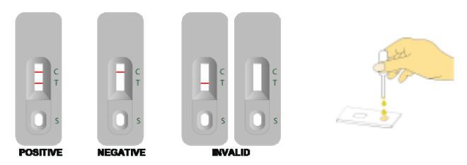 Serum Or Plasma Ebola Diagnostic Test Ebola Virus Antibody Rtk