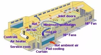 Lightweight Steel Frame House , Chicken Farm Structure Customized